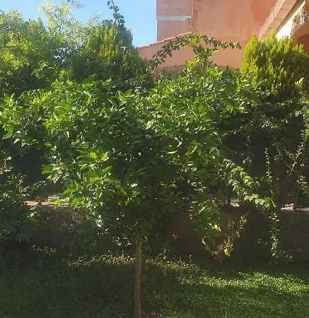 La Casetta Di Antonietta Apartment Fiumicino